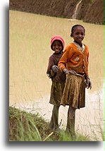 Two Malagasy Girls::Central Highlands, Madagascar::