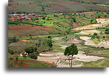 Rice Field Valley::Central Highlands, Madagascar::