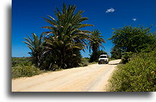 Droga do Bakuba::Ankilibe, Madagaskar::