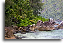 Granite Shore::Mahé, Seychelles::