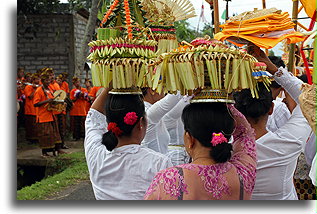 Kobiety niosące ofiary dla świątyni::Bali, Indonezja::