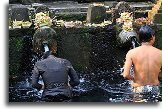 Ritual Purification::Bali, Indonesia::