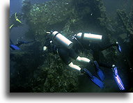 Divers at USS Liberty Wreck::Bali, Indonesia::
