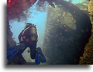 Diving USS Liberty::Bali, Indonesia::