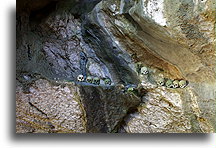 Wnętrze jaskini Tampangallo #1::Tana Toradża, Celebes Indonezja::