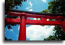 Tori in Fushimi Inari::Fushimi Inari Taisha Shrine in Kyoto, Japan::