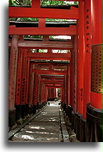 Ścieżka tori #1::Świątynia Fushimi Inari Taisha, Kioto, Japonia::