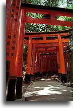 Path of tori #2::Fushimi Inari Taisha Shrine in Kyoto, Japan::