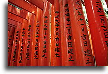 Path of tori #3::Fushimi Inari Taisha Shrine in Kyoto, Japan::