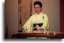 Koto (Japanese Harp)::Gion district in Kyoto, Japan::