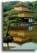 Kinkaku::Swiatynia Kinkaku-ji w Kioto, Japonia::