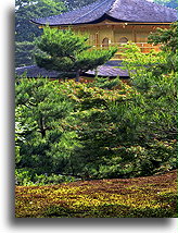 Kinkaku (Golden Pavilion)::Kinkaku-ji temple in Kyoto, Japan::