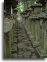 Kamienne latarnie #2::Swaitynia Kasuga Taisha w Nara, Japonia::