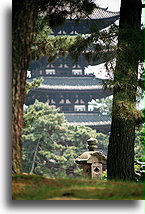 Goju-no-To (Five-story Pagoda)::Kofuku-ji, Nara, Japan::