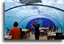 Underwater Restaurant::Ithaa, Underwater Restaurant, Maldives::