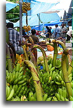 Bananas at the Male Market::Male, capital city of Maldives::