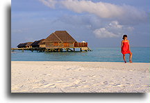 Kobieta i dom na palach #1::Wyspa Rangali, Malediwy::