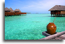 Water Jar in the Maldives::Rangalifinolhu Island, Maldives::
