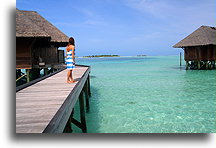 Ścieżka nad wodą::Wyspa Rangalifinolhu, Malediwy::