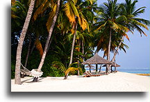 Hamak i parasol z liści palmowych::Wyspa Rangalifinolhu, Malediwy::