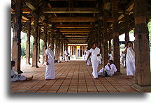 Temple`s Grounds::Kandy, Sri Lanka::