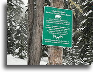 Plaque on Gladed Trails::Whistler, British Columbia, Canada::