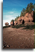 Ocean Floor::Hopewell Rocks, New Brunswick, Canada::