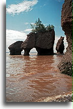 Łuk skalny podczas przypływu::Hopewell Rock, Nowy Brunszwik, Kanada::