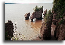 Bay of Fundy High Tide::Hopewell Rocks, New Brunswick, Canada::
