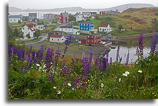 The View of Trinity Village::Bonavista, Newfoundland, Canada::