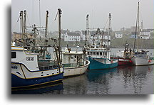 Bonavista Fishing Port #2::Bonavista, Newfoundland, Canada::