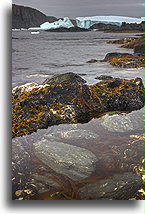 Clear Water::Newfoundland, Canada::