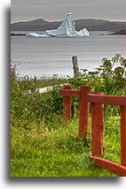 Iceberg::Newfoundland, Canada::
