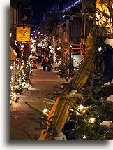 Świąteczne choinki na Rue du Petit-Champlain::Quebec City, Québec, Kanada::