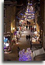 Rue du Petit-Champlain in Winter #3::Quebec City, Québec, Canada::