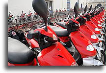 Red Scooters::Bermuda::