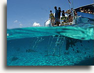Zakotwiczona łódź::Wielki Kajman, Karaiby::
