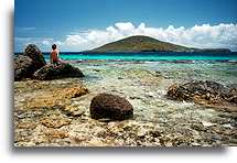 Sitting on the Reef::Culebra Island, Puerto Rico, Caribbean::
