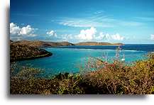 Południowe wybrzeże::Wyspa Culebra, Puerto Rico, Karaiby::