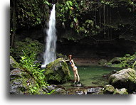 Emerald Pool #1::Dominica, West Indies::