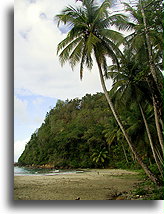 Batibou Bay::Dominica, Caribbean::
