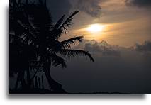 Palmy o zachodzie::Wybrzeże Dominikany, Karaiby::