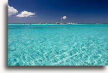 Stingray City Sandbar::Grand Cayman, Caribbean::