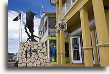 Duty Free Shops #1::Grand Cayman, Caribbean::
