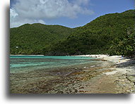 Plaża Hawksnet::St. John, Wyspy Dziewicze Stanów Zjednoczonych, Karaiby::