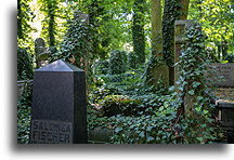 Graves covered with greenery #3::New Jewish Cemetery, Kraków, Poland::