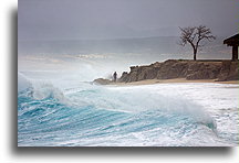 The Surf::Hilton Los Cabos, Baja California, Mexico::