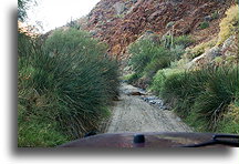 Driving the Dry Wash #2::Baja California Desert, Mexico::