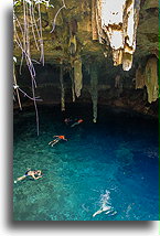 Cenote Kankirixche #2::Cenote Kankirixche, Jukatan, Meksyk::