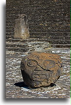 Głowa konika polnego::Cholula, Puebla, Meksyk::